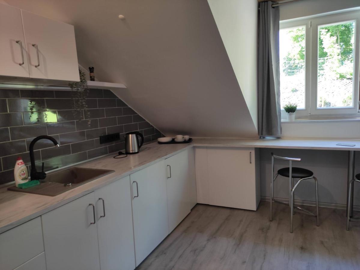 Cosy Apartments In Vilnius Center ภายนอก รูปภาพ
