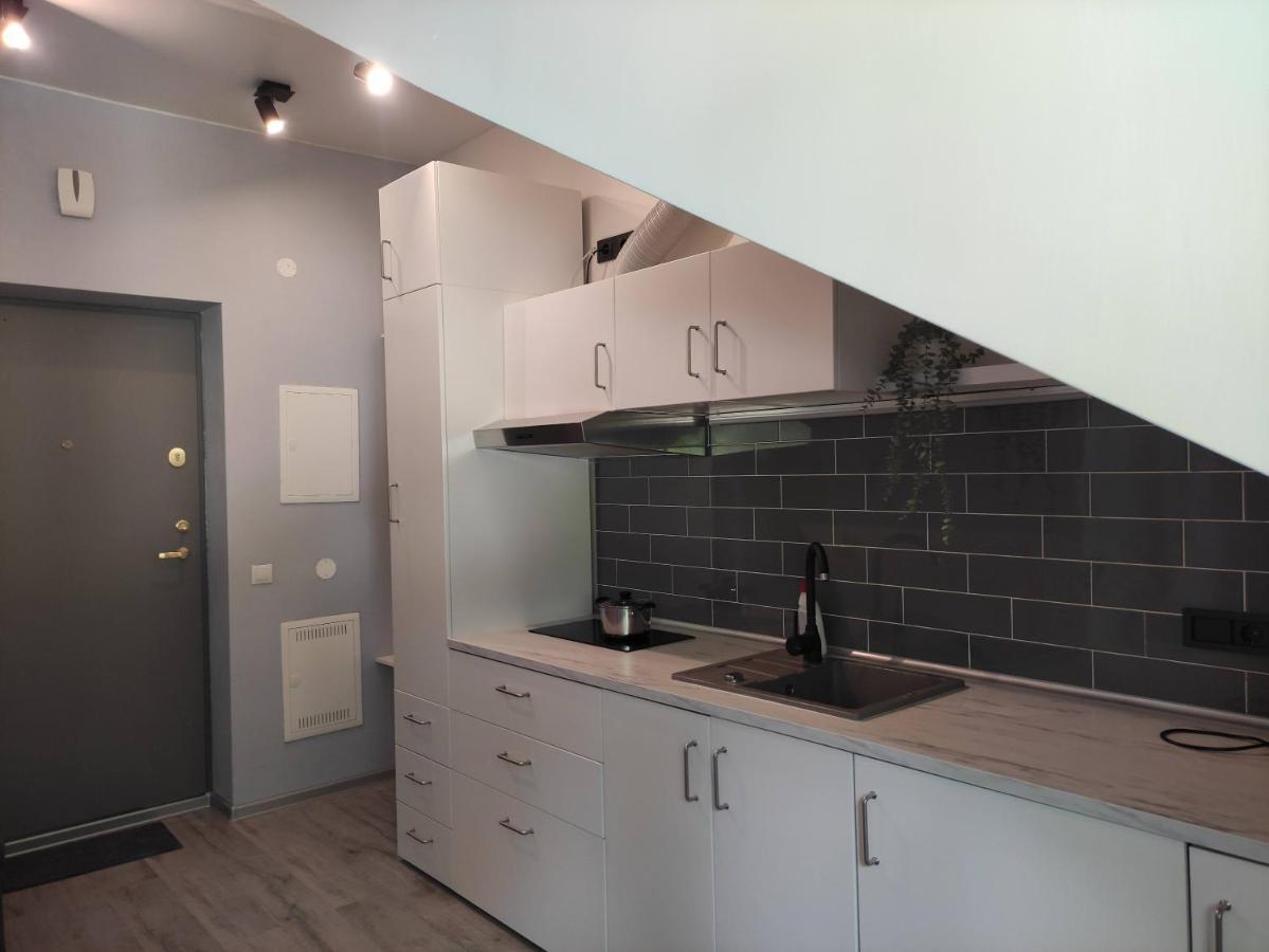 Cosy Apartments In Vilnius Center ภายนอก รูปภาพ